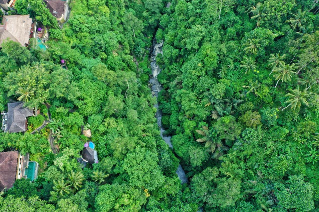 Villa Awang Awang Ubud Kültér fotó
